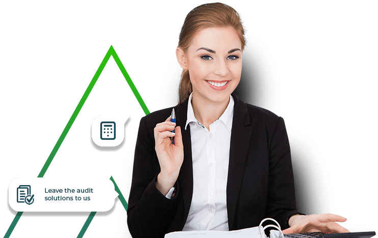 auditing banner img