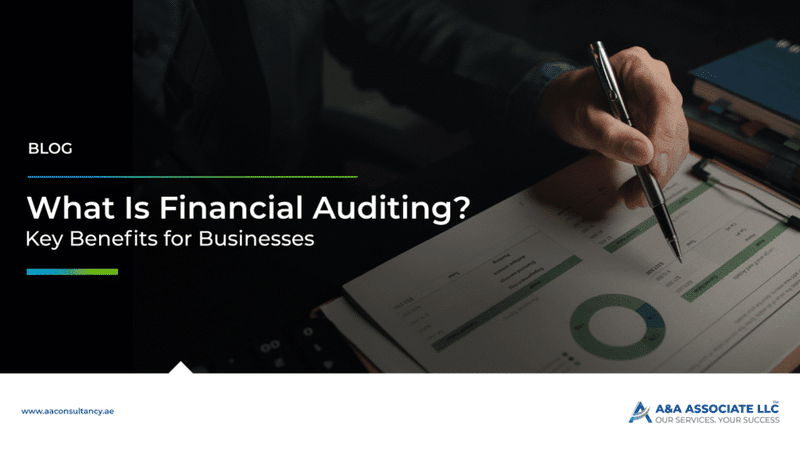 What is Financial Auditing