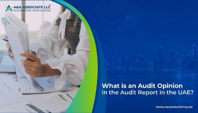 What is an Audit Opinion in the Audit Report in the UAE